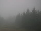 08 : 36
