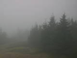 08 : 38