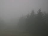 08 : 50
