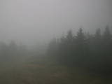 09 : 50