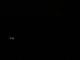 03 : 04