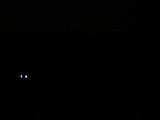 03 : 08