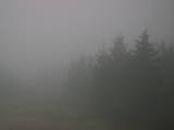 17 : 16