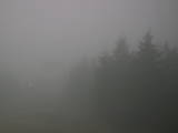 17 : 36