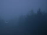 19 : 24