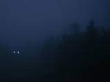 19 : 32