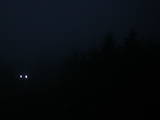 05 : 44