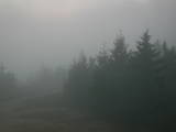 06 : 44