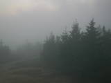 06 : 48