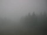 09 : 04