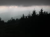 17 : 36