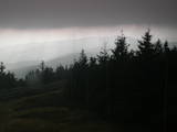 17 : 44