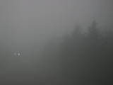 19 : 16