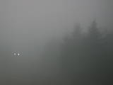 19 : 20