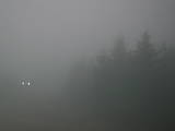 19 : 28