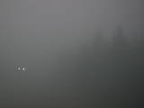 19 : 32