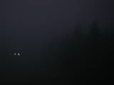 19 : 44