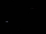 04 : 04