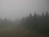 09 : 42