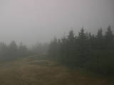 09 : 50
