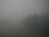 13 : 44