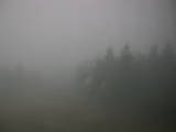 13 : 56