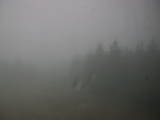 14 : 00