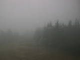 14 : 04