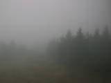 14 : 12
