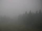 14 : 16