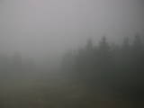 14 : 20