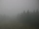 14 : 40