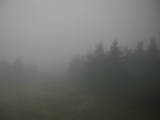 14 : 44
