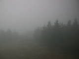 15 : 08