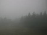 15 : 16
