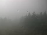 16 : 24