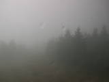 16 : 28