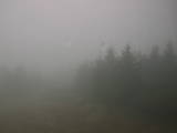 16 : 32
