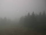 16 : 36