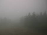 16 : 44