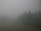 16 : 48