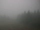 16 : 52
