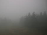 16 : 56