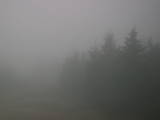 17 : 08