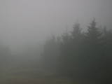 17 : 16