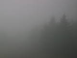 17 : 20