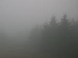 17 : 36