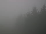 18 : 04