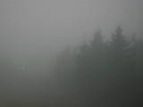 19 : 12