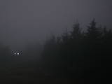 19 : 36
